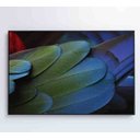 Ver mais imagens de Quadro Penas Verdes - 90x60 - Tecido Canvas