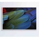 Ver imagem 1 de Quadro Penas Verdes - 90x60 - Tecido Canvas
