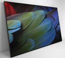 Ver imagem 6 de Quadro Penas Verdes - 90x60 - Adesivo Fotográfico