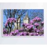 QUADRO FLORES CENTRAL PARK - 90x60 - Vidro Impresso - 3