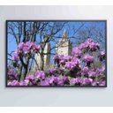 Ver imagem 6 de Quadro Flores Central Park - 90x60 - Vidro Impresso