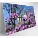 Ver imagem 4 de Quadro Flores Central Park - 90x60 - Vidro Impresso