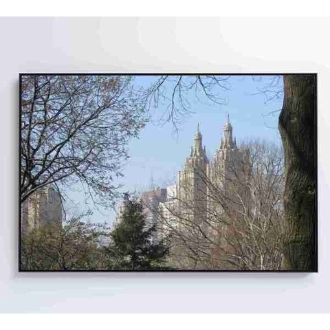 Quadro Árvores Central Park - 90x60 - Vidro Impresso
