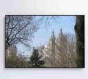 Ver imagem 1 de Quadro Árvores Central Park - 90x60 - Vidro Impresso