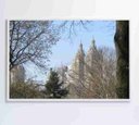Ver imagem 4 de Quadro Árvores Central Park - 90x60 - Vidro Impresso