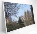 Ver imagem 2 de Quadro Árvores Central Park - 90x60 - Vidro Impresso