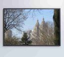 Ver imagem 7 de Quadro Árvores Central Park - 90x60 - Vidro Impresso