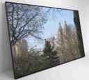 Ver imagem 6 de Quadro Árvores Central Park - 90x60 - Adesivo Fotográfico