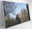 Ver imagem 3 de Quadro Árvores Central Park - 90x60 - Adesivo Fotográfico