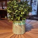Ver imagem 2 de Vaso Crispin de Cerâmica Verde 13,5x14cm