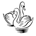 Ver imagem 1 de Adesivo Box Banheiro Cisne Decoração Decoração Enfeite Parede Box Banheiro:Preto