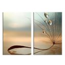 Ver imagem 1 de Kit 2 Telas Decorativas Dente-de-Leão Gotas de Orvalho Grande