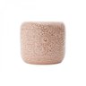 Vaso Decorativo em Cerâmica Embossed Flowers 14,5cmx15,5cm Urban - 4