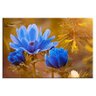 Tela Decorativa Flor Anémona Azul Médio - 1