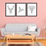 Kit 3 Quadros Decorativos Veado Beija-Flor e Elefante Preto - Grande - 2