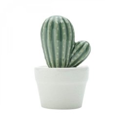 Mini Vaso Decorativo em Cerâmica Pringlei Cactus 11,5cmx7,5cm Urban - 1 Mini Vaso Decorativo em Cerâmica Pringlei Cactus 11,5cmx7,5cm Urban - 1