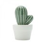 Mini Vaso Decorativo em Cerâmica Pringlei Cactus 11,5cmx7,5cm Urban - 1