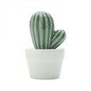 Ver imagem 1 de Mini Vaso Decorativo em Cerâmica Pringlei Cactus 11,5cmx7,5cm Urban