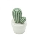 Ver imagem 3 de Mini Vaso Decorativo em Cerâmica Pringlei Cactus 11,5cmx7,5cm Urban