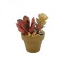 Mini Vaso Decorativo de Papel e Plantinhas de Plástico Mix Sucullents 7,5cmx6cm Urban - 1