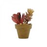 Mini Vaso Decorativo de Papel e Plantinhas de Plástico Mix Sucullents 7,5cmx6cm Urban - 2