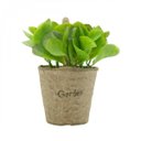 Ver imagem 2 de Mini Vaso Decorativo de Papel e Plantinha de Plástico Bean Leaves 13cmx12cm Urban