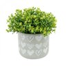 Vaso Decorativo de Concreto Embossed Big Hearts 10cmx11cm Urban - 2