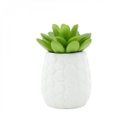 Ver imagem 2 de Mini Vaso e Plantinha Hives Betty Sucullent de Plástico 10cmx6cm Urban