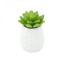 Ver imagem 1 de Mini Vaso e Plantinha Hives Betty Sucullent de Plástico 10cmx6cm Urban