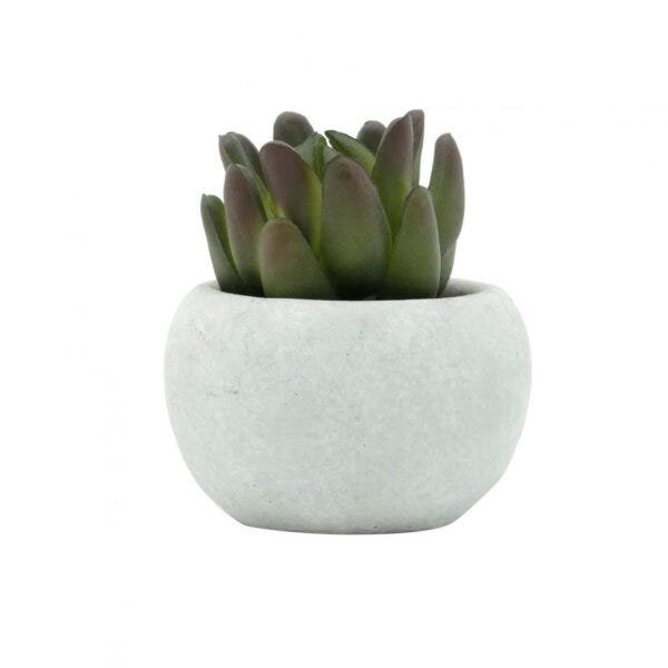 Mini Vaso Decorativo em Concreto e Plantinha Plástica Lucidum Sucullent 9cmx6cm Urban - 2