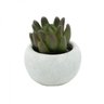 Mini Vaso Decorativo em Concreto e Plantinha Plástica Lucidum Sucullent 9cmx6cm Urban - 1