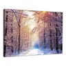 Quadro Decorativo Floresta Nevada Paisagem Canva Artistico45:Colorido/Colorido - 1