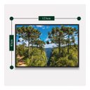 Ver imagem 5 de Quadro Paisagem Árvores de Araucárias Natureza Exuberante