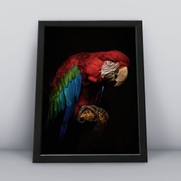 Quadro Decorativo Moldura Preta 30x40cm Arara Vermelhas - 1