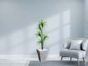 Ver imagem 2 de Planta Artificial Árvore Yucca 1,60m Kit + Vaso Trapézio D. Grafiato Cinza 40cm
