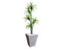 Ver imagem 1 de Planta Artificial Árvore Yucca 1,60m Kit + Vaso Trapézio D. Grafiato Cinza 40cm