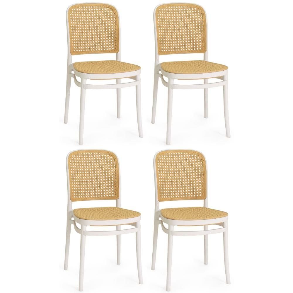 Kit 4 Cadeiras de Jantar Roma para Sala e Cozinha
