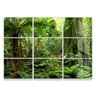 Quadro 50x675cm Decorativos Paisagem Floresta Oihana Moldura Branca Com Vidro - Oppen House - 1