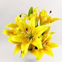 Ver imagem 2 de Lírio Amarelo Buquê 55x30x20cm Planta Artificial Permanente