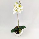 Ver imagem 7 de Orquídea Branca 3D 47x12x10cm Planta Artificial Toque Real