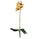 Ver imagem 1 de Orquídea Verde 3D 47x12x10cm Planta Artificial Toque Real