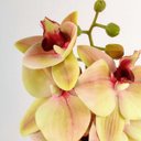 Ver imagem 3 de Orquídea Verde 3D 47x12x10cm Planta Artificial Toque Real