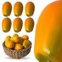 Ver imagem 3 de 7 Mamões Artificiais Decorativos Fruta Realista Ambiente Temático Cenários Decoração Festa Exposição