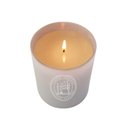 Ver imagem 3 de Vela Perfumada Into The Night Lenvie 210g