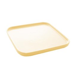 Kit 02 Travessas Porcelana Nórdica Amarelo Matt 25x25x2cm - 1