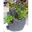 Ver imagem 2 de Vaso Auto Irrigável Jardim de Temperos Vida Jardim Temperos da Vida Japi