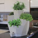 Ver imagem 2 de Vaso Auto Irrigável Jardim de Temperos Vida Jardim Temperos da Vida Japi