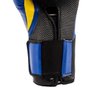 Luva de Boxe e Muay Thai Pro Style Elite V2 14OZ Everlast - Azul com Preto - 5