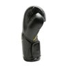 Luva de Boxe e Muay Thai Pro Style Elite V2 16OZ Everlast - Preto com Preto - 2