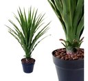 Ver imagem 1 de Planta Artificial Decoração Enfeite Impecável Vaso 75 X 63